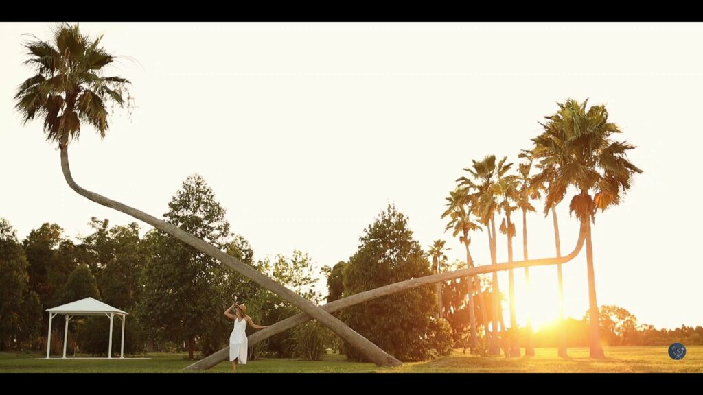 Central Florida's number one event venue for weddings showing off their crossed palm trees in front of a sunset during a wedding